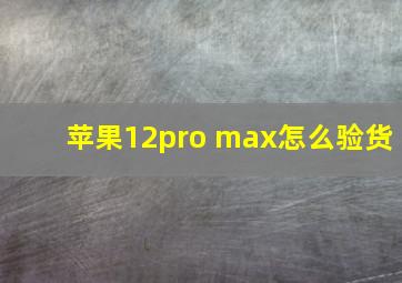 苹果12pro max怎么验货