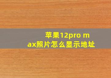 苹果12pro max照片怎么显示地址