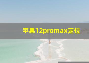 苹果12promax定位