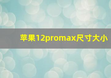 苹果12promax尺寸大小