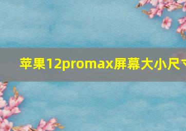 苹果12promax屏幕大小尺寸