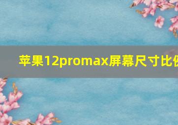 苹果12promax屏幕尺寸比例