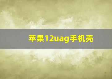 苹果12uag手机壳