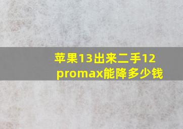 苹果13出来二手12promax能降多少钱