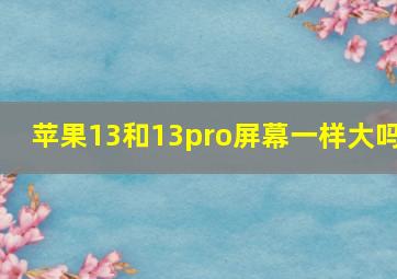 苹果13和13pro屏幕一样大吗