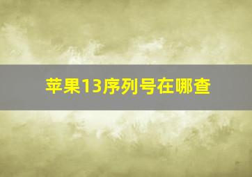 苹果13序列号在哪查