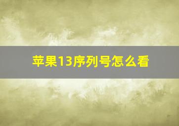 苹果13序列号怎么看