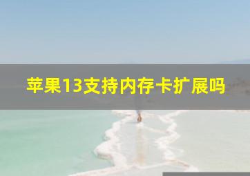 苹果13支持内存卡扩展吗