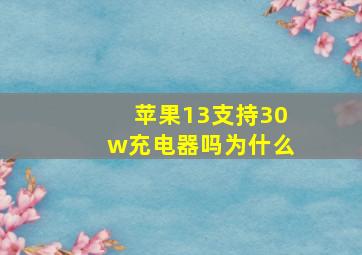 苹果13支持30w充电器吗为什么