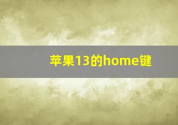 苹果13的home键