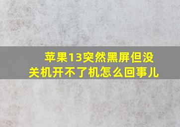 苹果13突然黑屏但没关机开不了机怎么回事儿