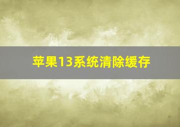 苹果13系统清除缓存