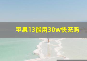 苹果13能用30w快充吗