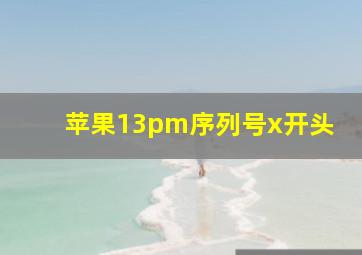 苹果13pm序列号x开头