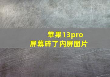 苹果13pro屏幕碎了内屏图片