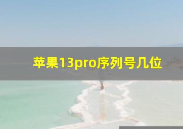 苹果13pro序列号几位