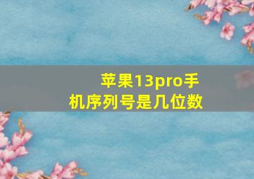 苹果13pro手机序列号是几位数