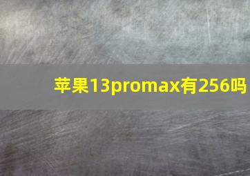 苹果13promax有256吗