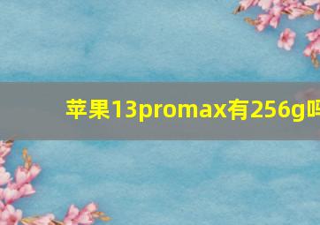 苹果13promax有256g吗