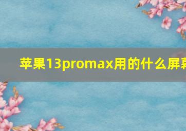 苹果13promax用的什么屏幕