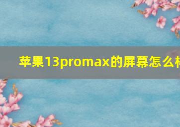 苹果13promax的屏幕怎么样