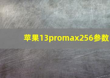 苹果13promax256参数