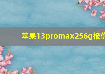 苹果13promax256g报价