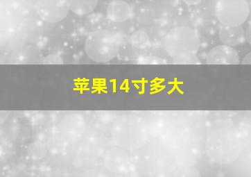 苹果14寸多大