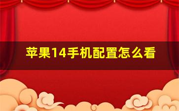 苹果14手机配置怎么看