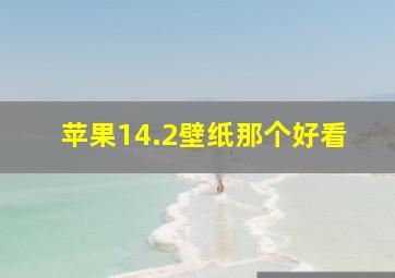 苹果14.2壁纸那个好看