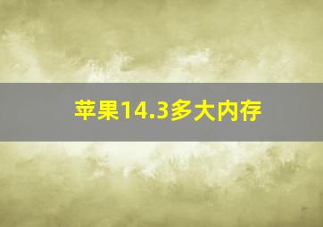 苹果14.3多大内存