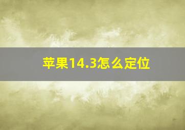 苹果14.3怎么定位