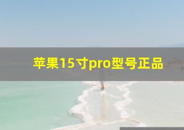 苹果15寸pro型号正品