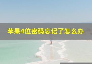 苹果4位密码忘记了怎么办