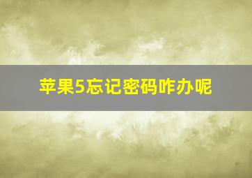 苹果5忘记密码咋办呢