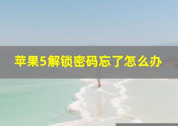 苹果5解锁密码忘了怎么办