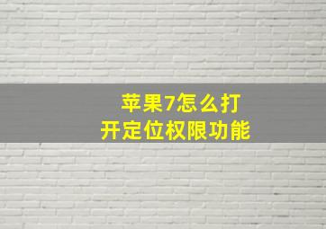 苹果7怎么打开定位权限功能