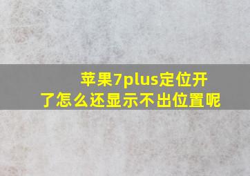 苹果7plus定位开了怎么还显示不出位置呢