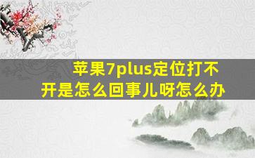 苹果7plus定位打不开是怎么回事儿呀怎么办