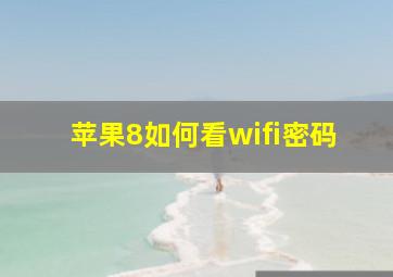 苹果8如何看wifi密码