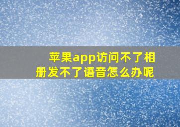 苹果app访问不了相册发不了语音怎么办呢