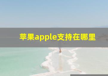 苹果apple支持在哪里