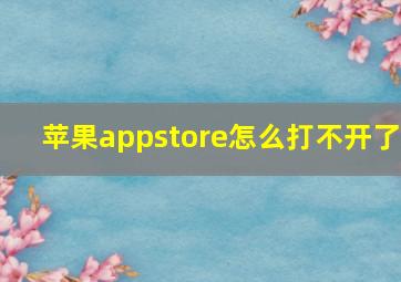 苹果appstore怎么打不开了