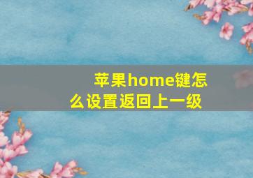 苹果home键怎么设置返回上一级