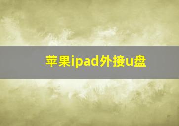 苹果ipad外接u盘