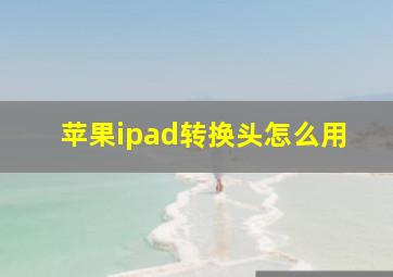 苹果ipad转换头怎么用