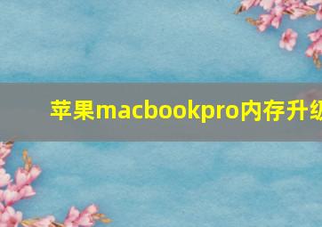 苹果macbookpro内存升级