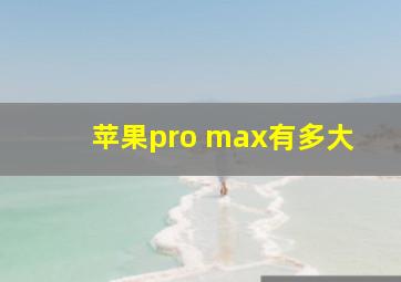 苹果pro max有多大