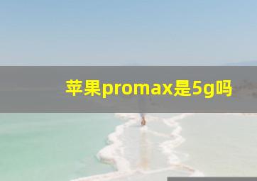 苹果promax是5g吗