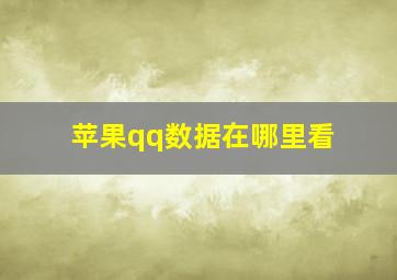 苹果qq数据在哪里看